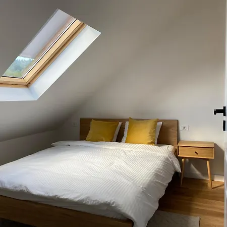 The Cosy Attic At Casuta Fulgu' Apartment Borsa  Exterior photo